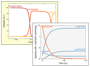 Kinetic rate laws