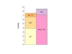 Ion balance diagram